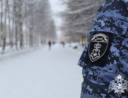 В гипермаркете Сыктывкара росгвардейцы повязали любителя бесплатного карбоната