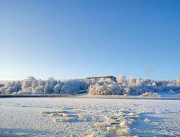 Коми ждет морозная погода с легким ветром: прогноз на 17 февраля