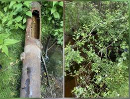 В Коми "Водоканал" ответит в суде за ущерб природе на 7 миллионов