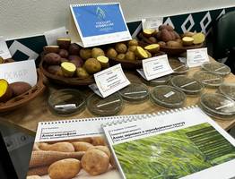 В Сыктывкаре стартовал посевной семинар аграриев