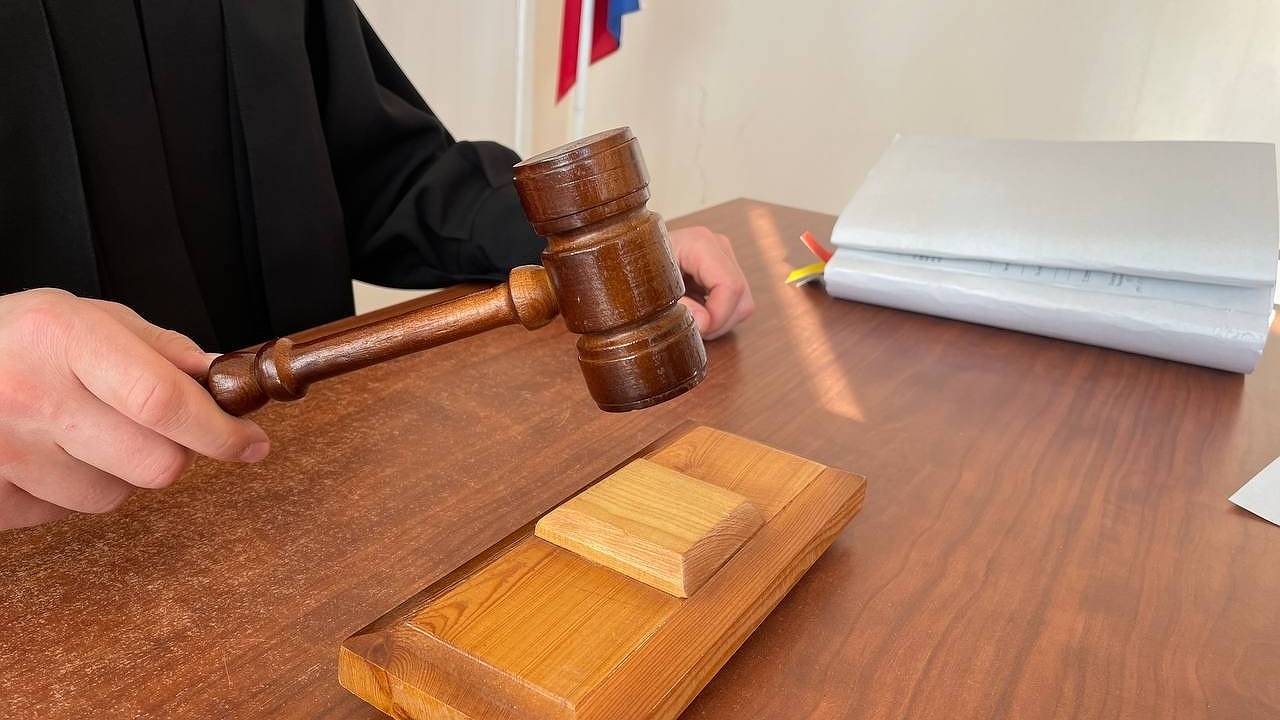 Главная картинка новости: В Коми в суд направили дело о гибели животных на передержке