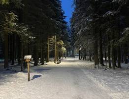 Коми ждет погожий зимний день: прогноз погоды на 21 февраля