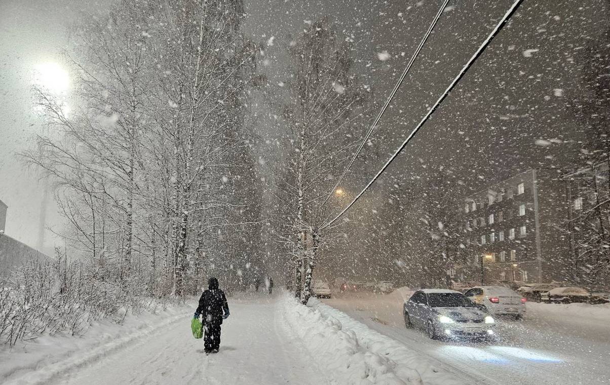 На смену морозам в последнюю неделю февраля в Коми приходят метели