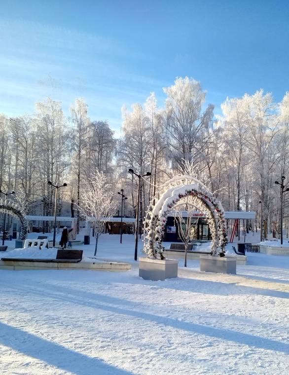 Полевая кухня и огненное шоу: Сыктывкар отметит День защитника Отечества