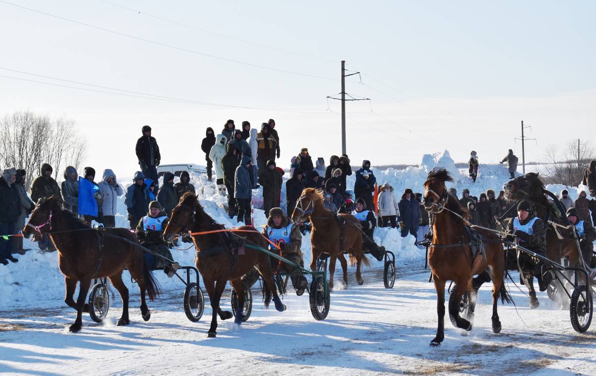 В Коми определили быстрейших в зимних конных заездах