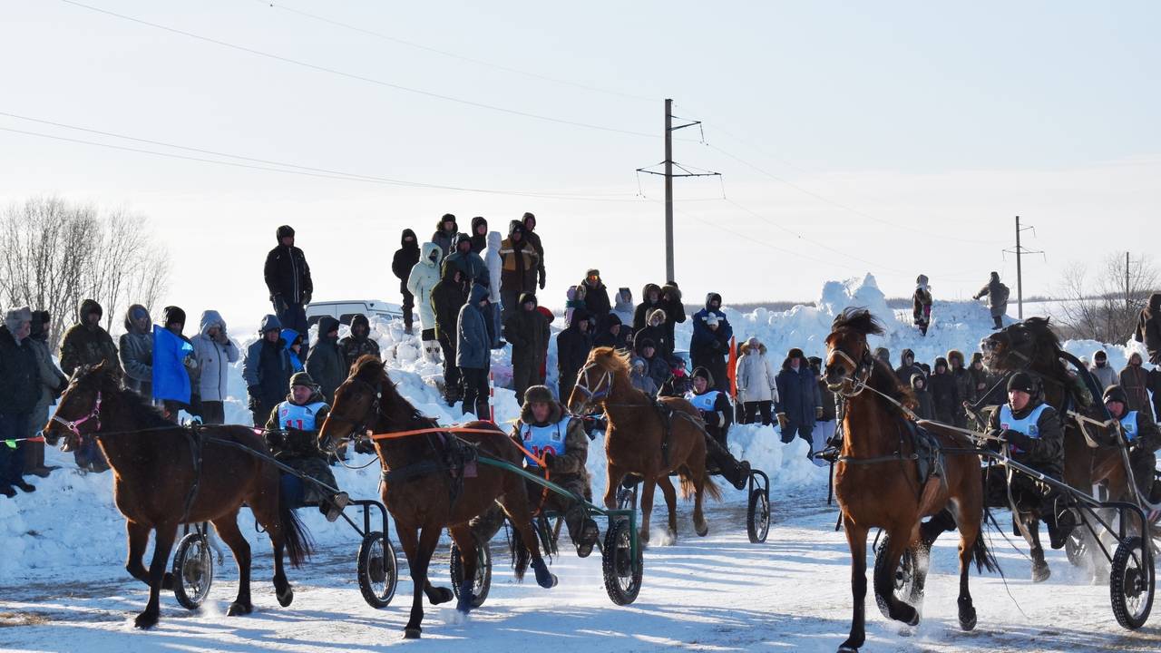 Главная картинка новости: В Коми определили быстрейших в зимних конных заездах