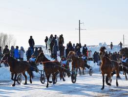 В Коми определили быстрейших в зимних конных заездах