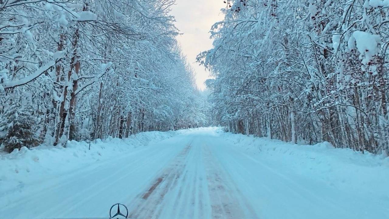 Главная картинка новости: Владимир Путин дал указания по поводу трассы Сыктывкар - Нарьян-Мар