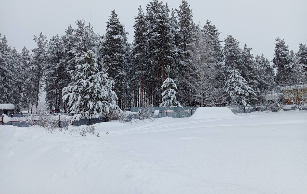 Прогноз погоды на 28 февраля обещает Коми от крепких морозов до снегопада
