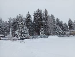 Прогноз погоды на 28 февраля обещает Коми от крепких морозов до снегопада