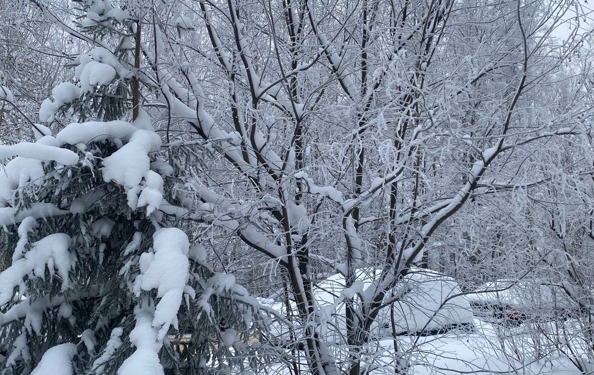 По прогнозу Коми встретит 1 марта 30-градусными морозами и снегопадами