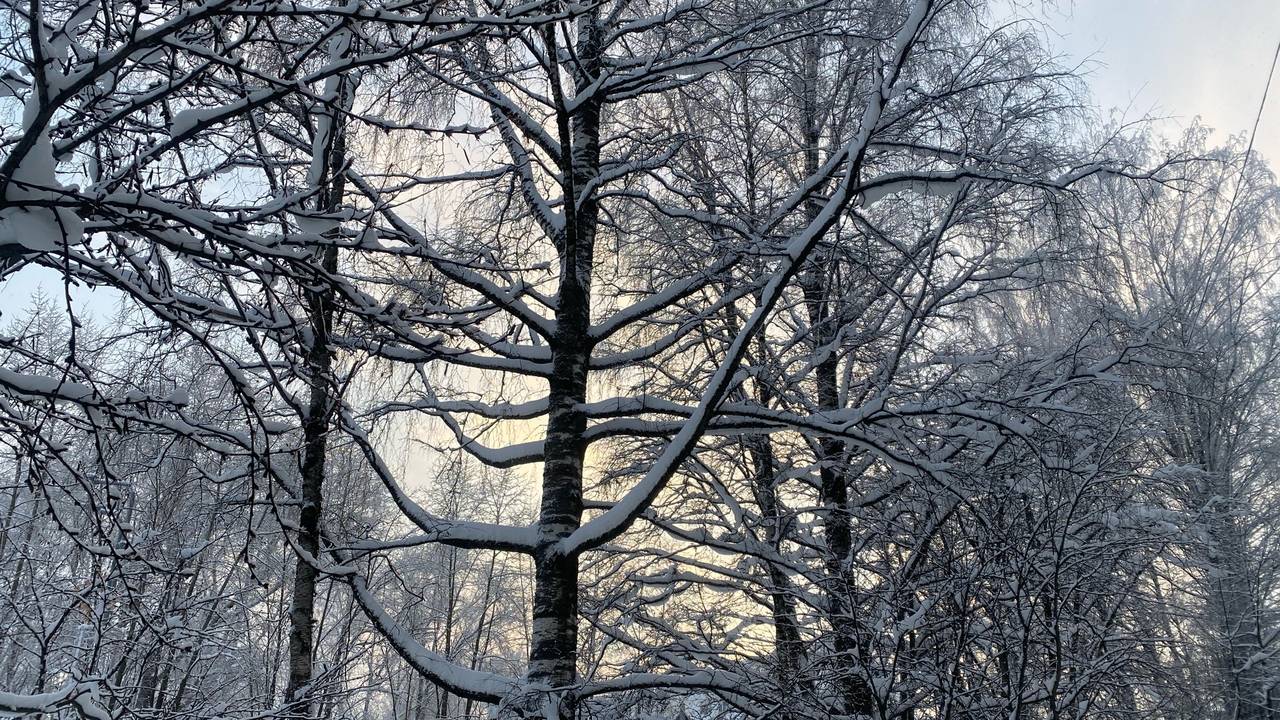 Главная картинка новости: 4 февраля в Сыктывкаре и на юго-западе Коми похолодает до -29 градусов