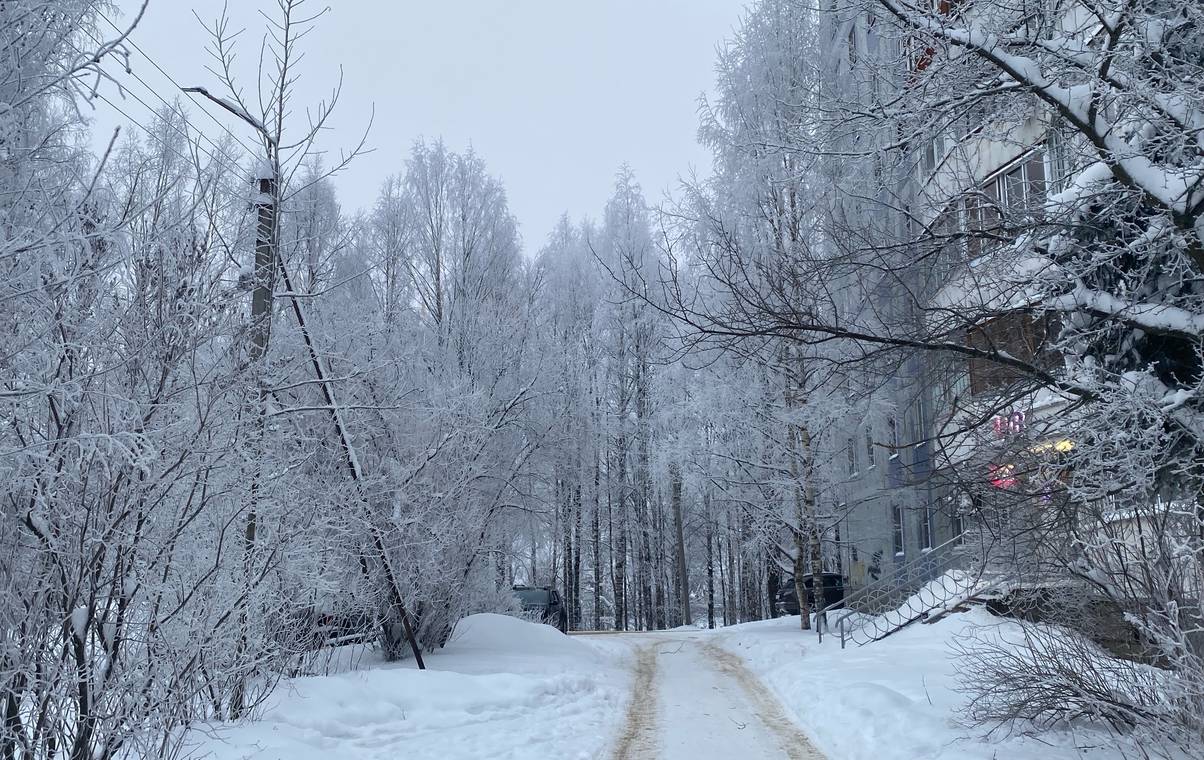 Погода в Коми 7 февраля принесет приятный мороз и снегопад во все районы