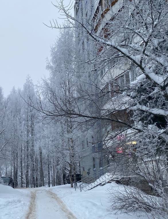 Погода в Коми 7 февраля принесет приятный мороз и снегопад во все районы