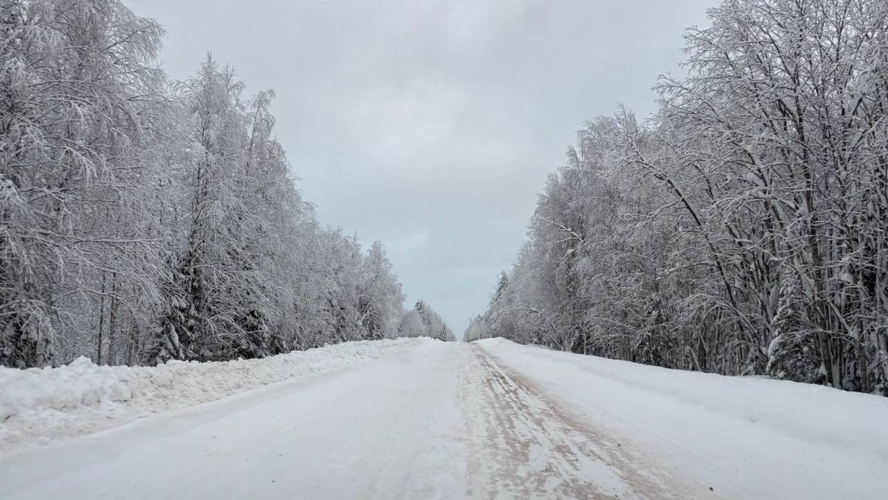 Главная картинка новости: В Коми на смену морозной ночи придет потепление: прогноз погоды на 10 февраля