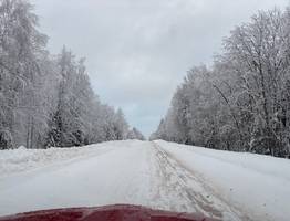 В Коми на смену морозной ночи придет потепление: прогноз погоды на 10 февраля