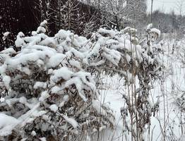 12 марта в Коми поразит контрастами: от дождя и плюса до мороза -30 градусов