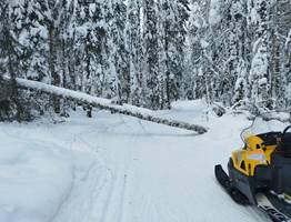 Оттепель внесла коррективы в проведение "Лыжни России" в столице Коми