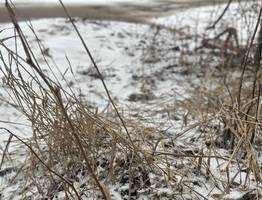 15 марта в Коми плюсовая температура накроет всю территорию