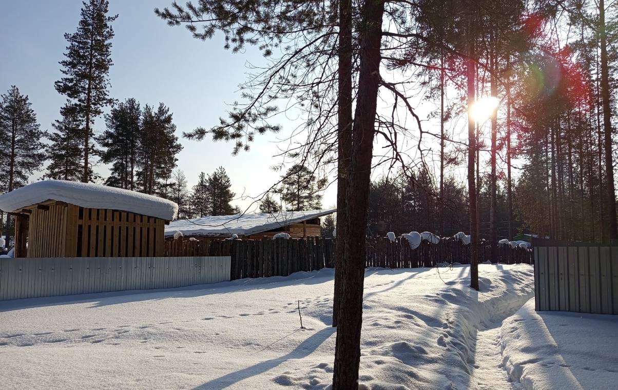 В Коми под сошедшими с крыши глыбами погибла вторая женщина