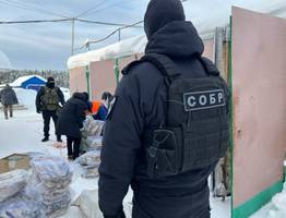 Полиция Сыктывкара изъяла у двух бизнесменов 13 тонн нелегальной рыбы