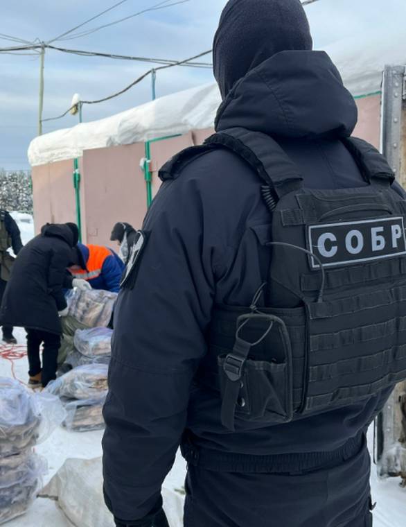 Полиция Сыктывкара изъяла у двух бизнесменов 13 тонн нелегальной рыбы