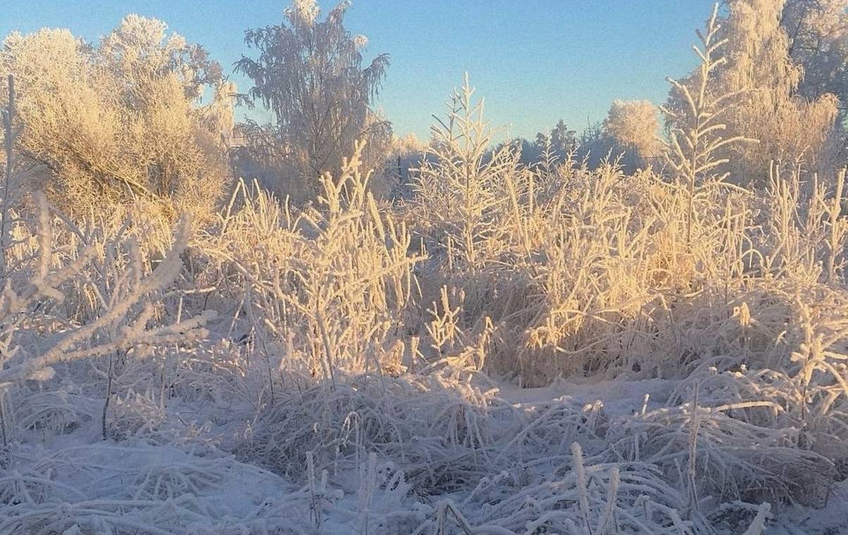 Стужа задерживается: синоптики рассказали, каким будет март в Коми