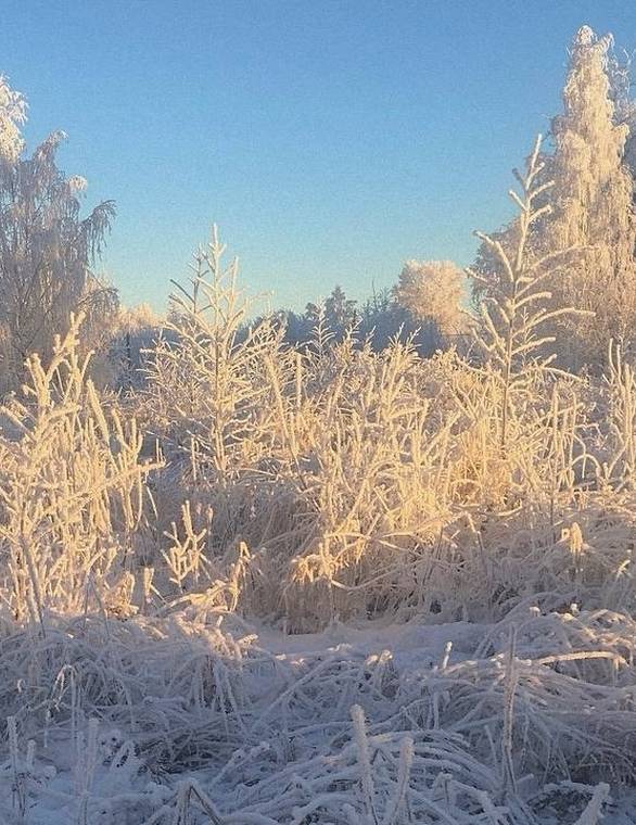 Стужа задерживается: синоптики рассказали, каким будет март в Коми