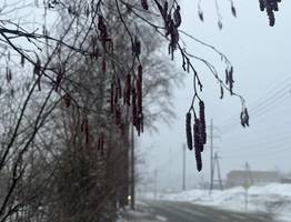 22 марта Коми ждет дневной "плюс" на всей территории