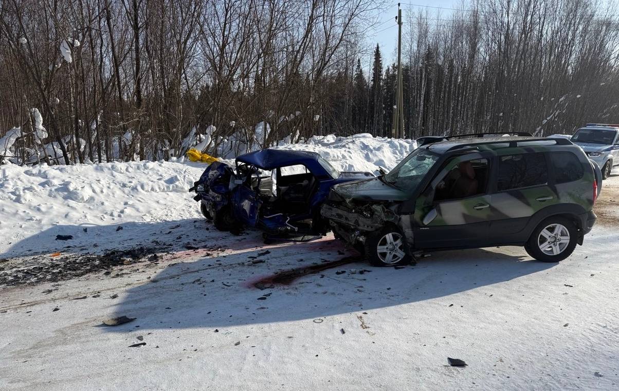 На трассе в Коми при лобовом столкновении погиб водитель