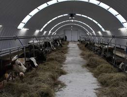 В Коми фермеры из Мыёлдино нарастили надои и расширили стадо при господдержке